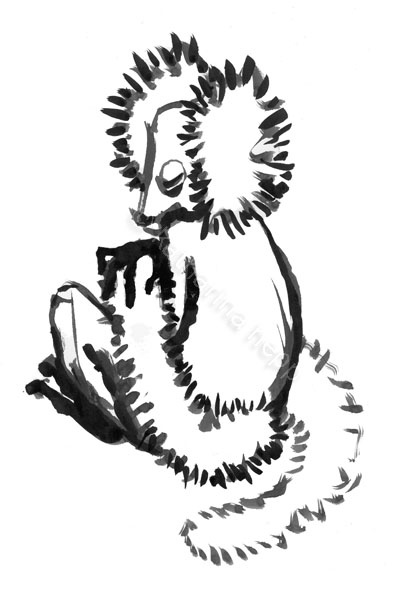 Vari (eine Art Lemur)