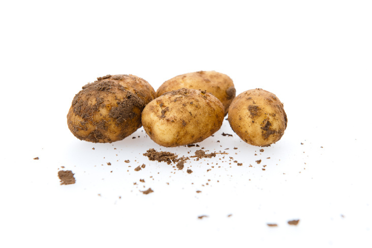 Kartoffeln Biolinda