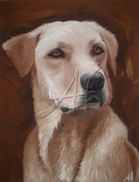 Golden Dog, 60 × 80 cm, Hundeabbild vom Foto