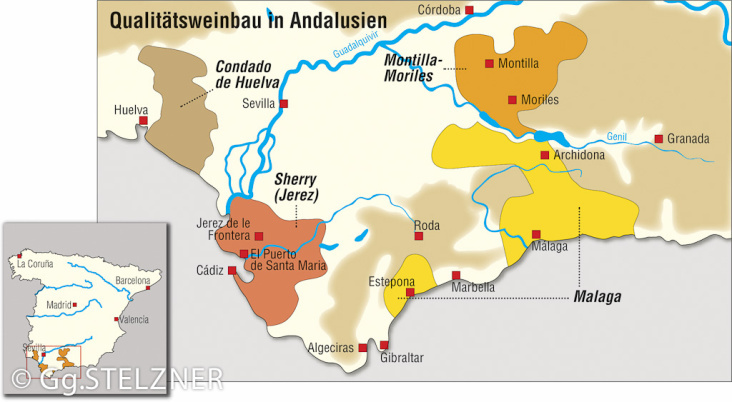 Qualitätsweinbau in Andalusien