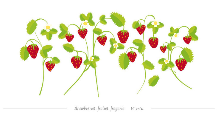 digitale Illustration, Erdbeeren
