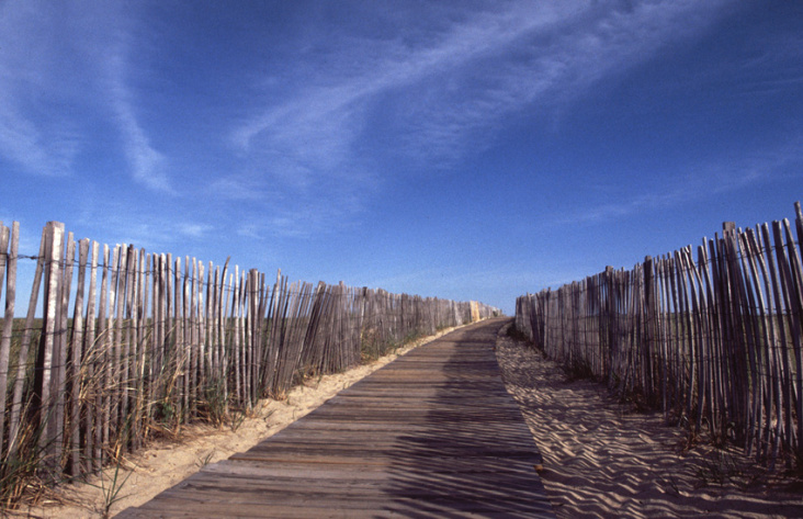 Scusset Beach