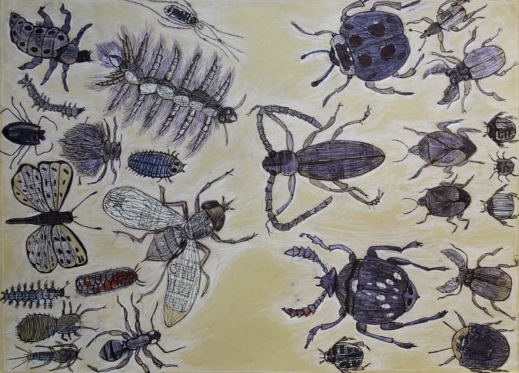 Grafik für einen Insektenliebhaber