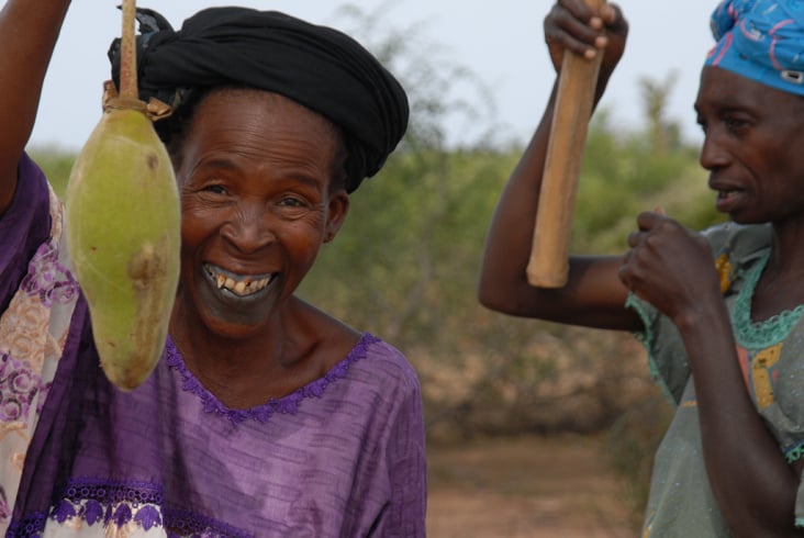 Mail – Baobab-Ernte