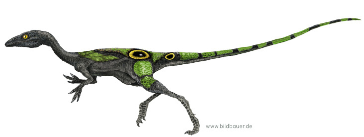 Black Compsognathus