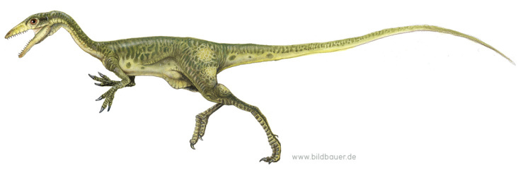 Green Compsognathus