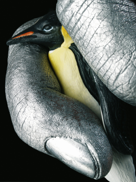 Amnesty International Pinguin