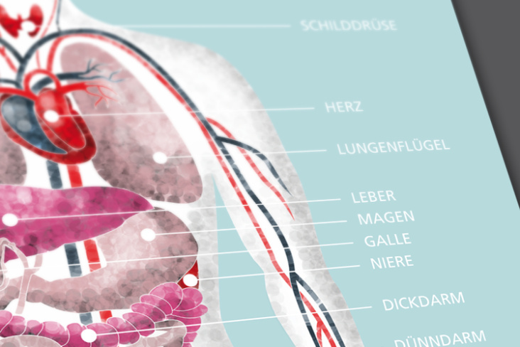 medicalquiz 4