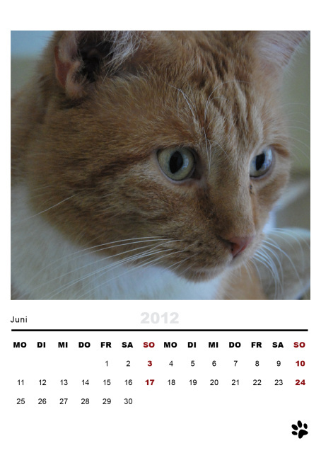 Kalendar 2012 – Format A3 & A6 – Gestaltung & Fotos