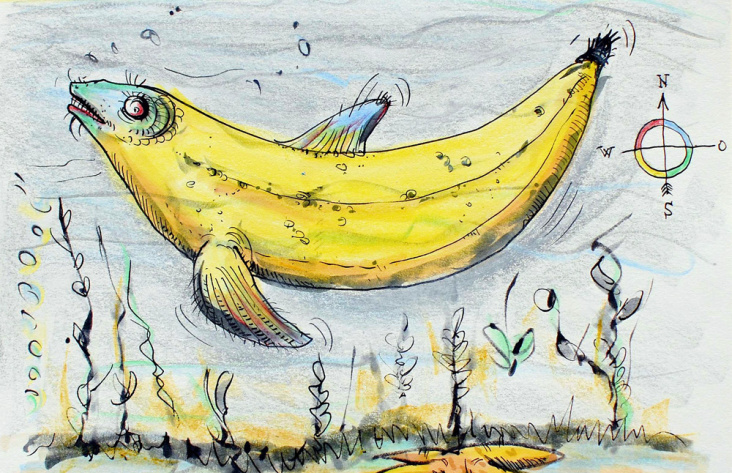 bananenfisch