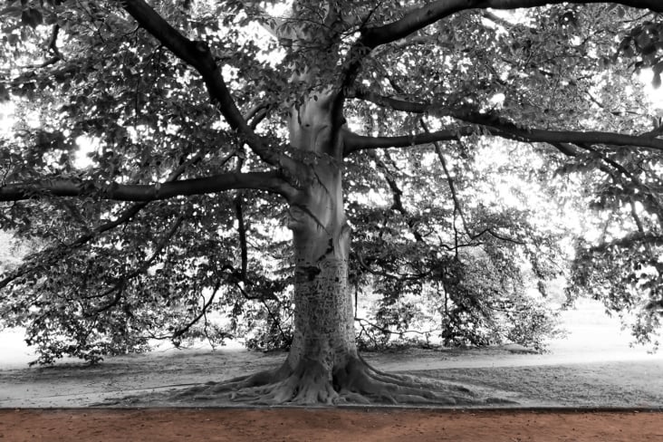 Fotografie und Bildbearbeitung