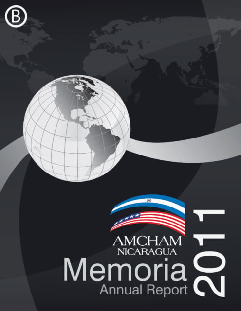 Annual Memory AMCHAM