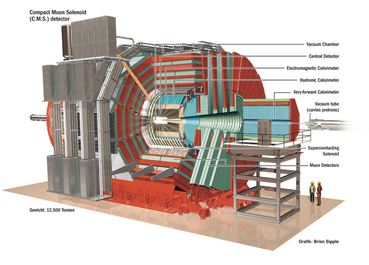 LHC CERN CMS