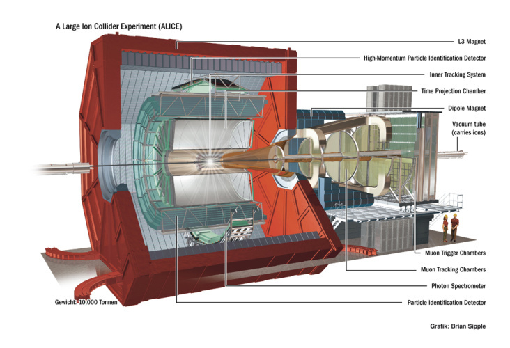 LHC CERN ALICE