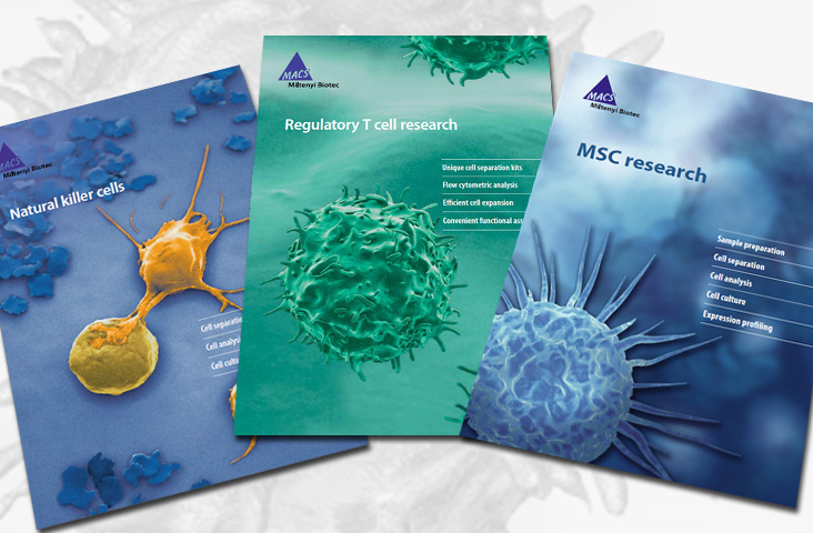 Print: diverse Flyer eines Biotechunternehmens