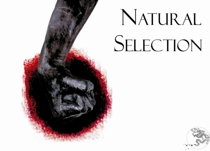 Natural Selection : cover