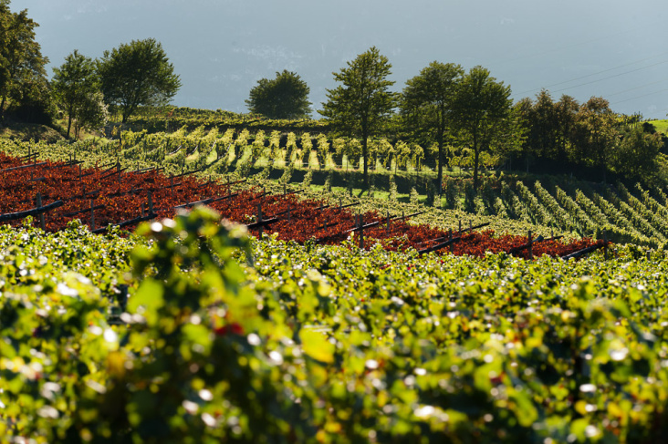 Landschafts Fotografie – Florian Berger @kreatif.it