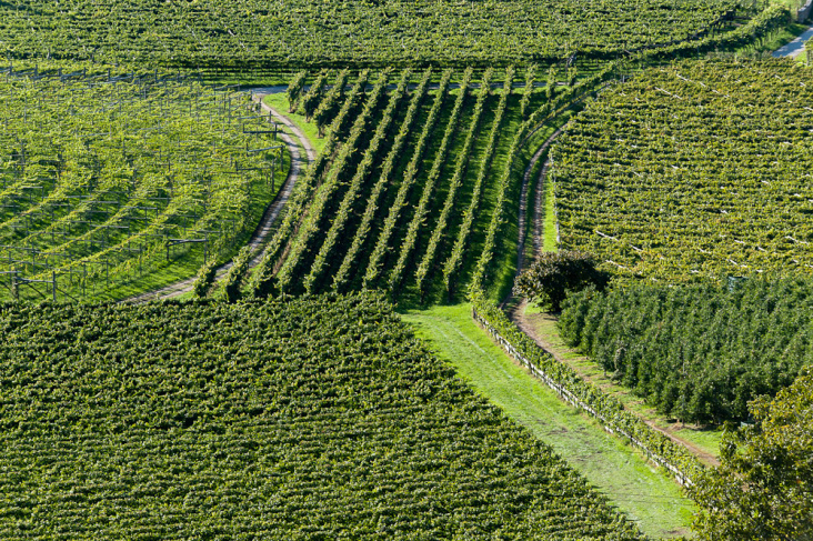 Landschafts Fotografie – Florian Berger @kreatif.it