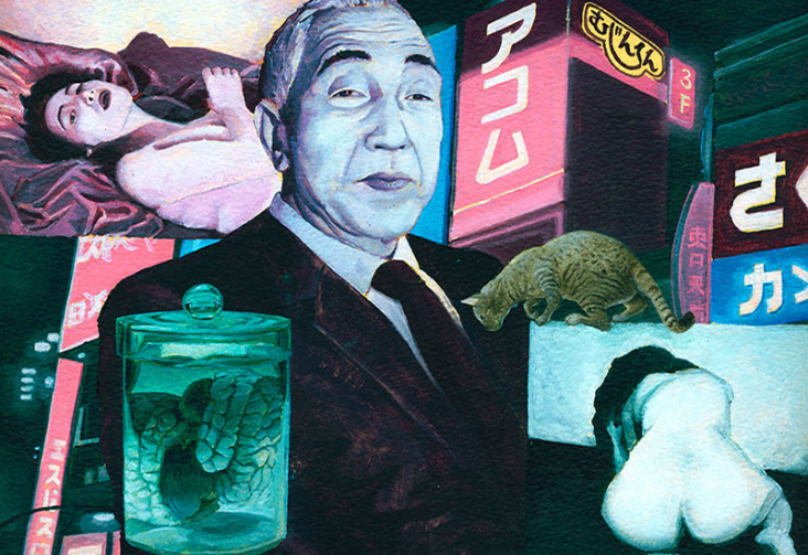 Illustration zu Haruki Murakamis „Mister Aufziehvogel“