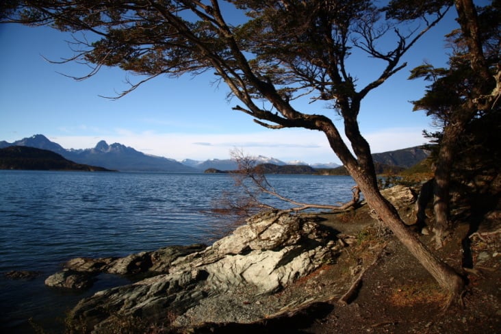 Lapataia-Bucht im Feuerland-Nationalpark