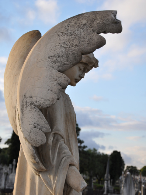 ENGEL BEI DÄMMERUNG | MELBOURNE CEMETERY | AUSTRALIEN