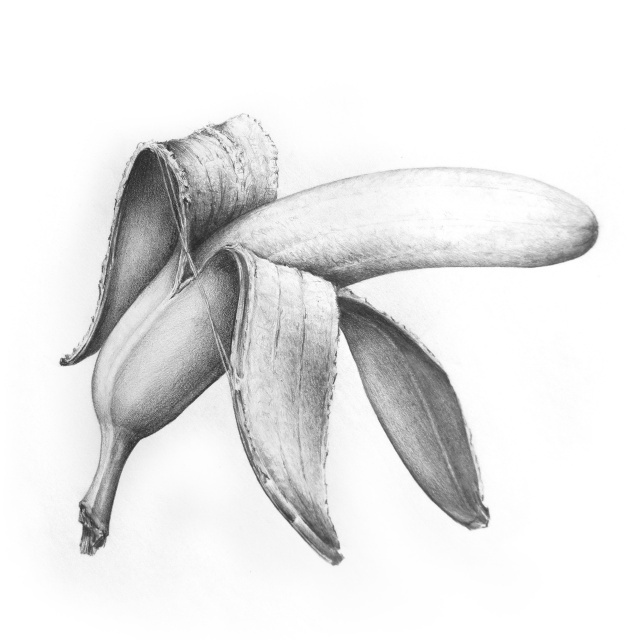 “BANANA” – Graphit