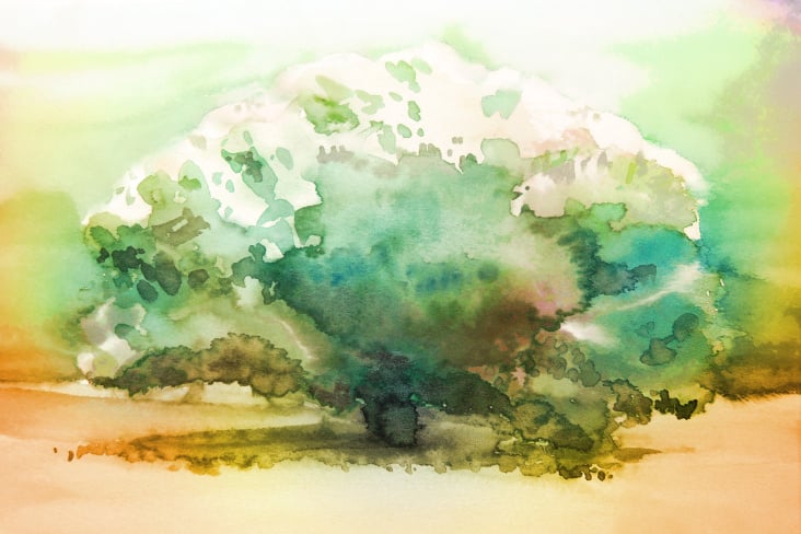 “OAK” – Aquarell