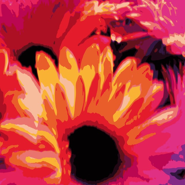 “GERBERA” – digital