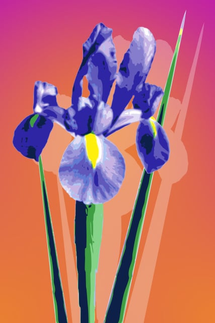 “IRIS” – digital