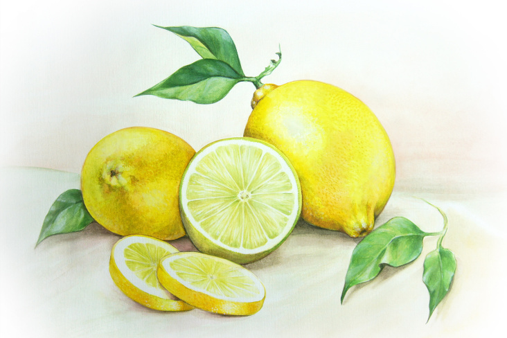 “LEMONS” – Aquarell