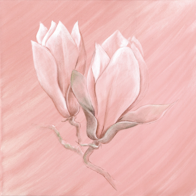 “MAGNOLIA” – Aquarell