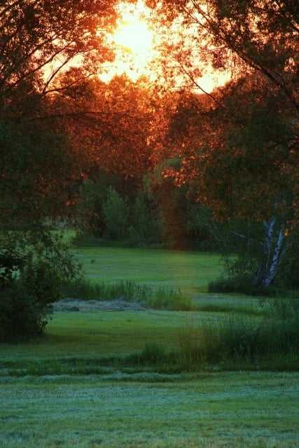 Abendröte