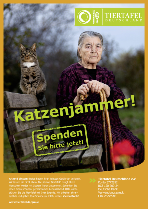 Katzenjammer 1