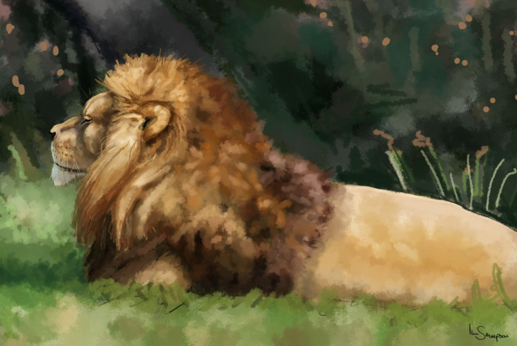 lion32-1