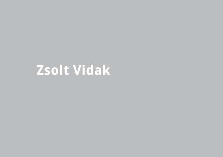 Zsolt Vidak