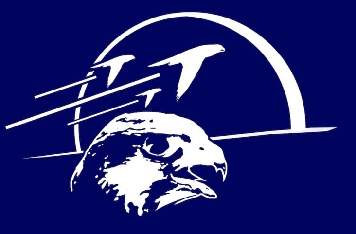 Alternatives Teamlogo