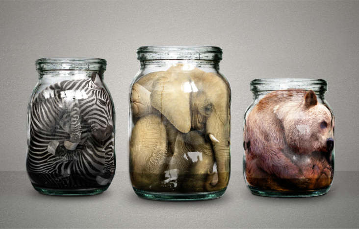 Fotomanipulation Tierkonserven – „Der Elefant im Glas“ – www.stilknecht.de/_elefant.html