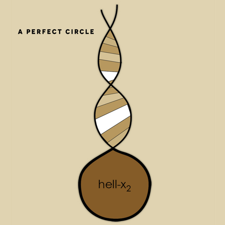 a-perfect-circle 2