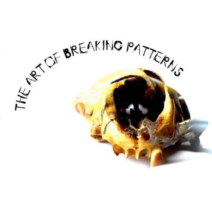 the-art-of-breaking-patterns