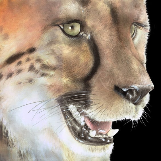 “CHEETAH” Tierportrait – Aquarell