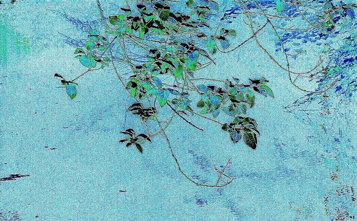 Blätter am Teich