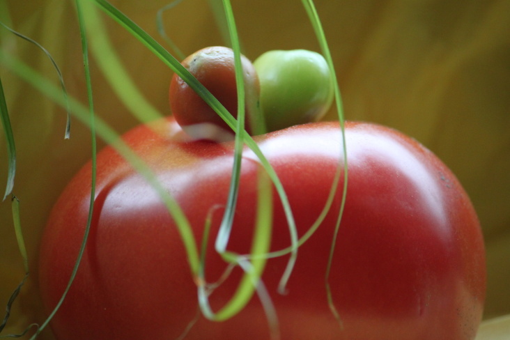 Food Fotografie 2012