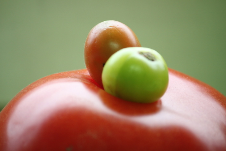 Food Fotografie 2012