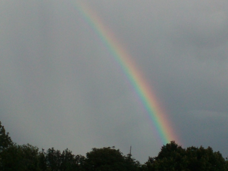 Natur 2012 Regenbogen 01