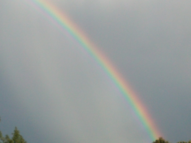 Natur 2012 Regenbogen 02