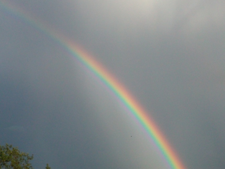 Natur 2012 Regenbogen 03