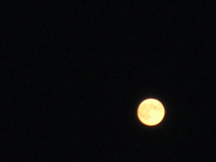 Natur 2012 Mond 08