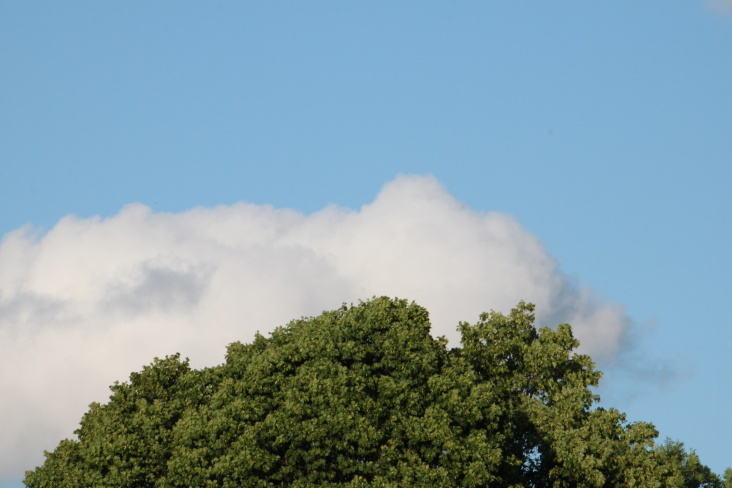 Natur 2012 WOLKEN