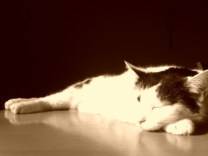 Bastet in Sepia No. 01