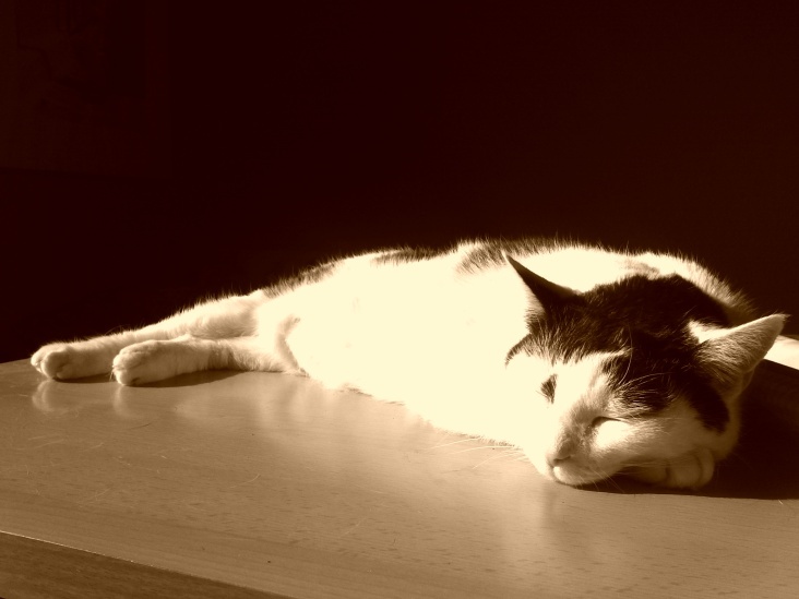 Bastet in Sepia No. 02